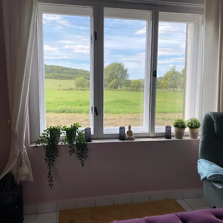 Back To Basic Baranya Hu بيت للعطل