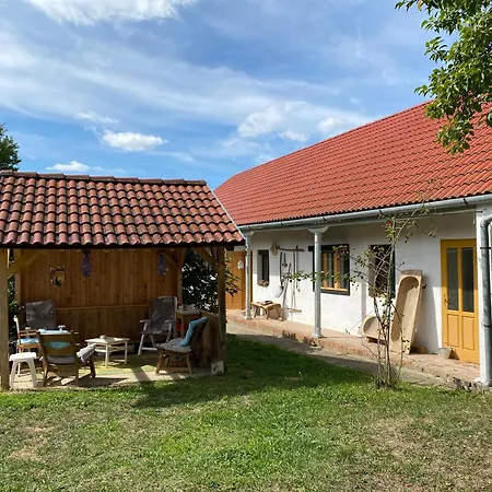 Back To Basic Baranya Hu *