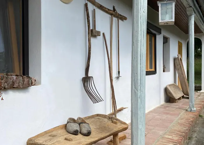 Back To Basic Baranya Hu Horvathertelend