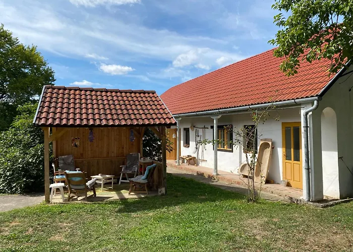 Back To Basic Baranya Hu *